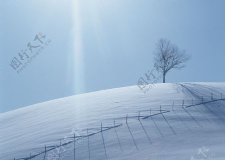 阳光照射雪景图片