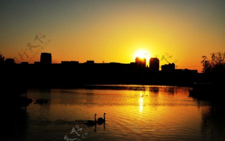 静湖夕阳图片