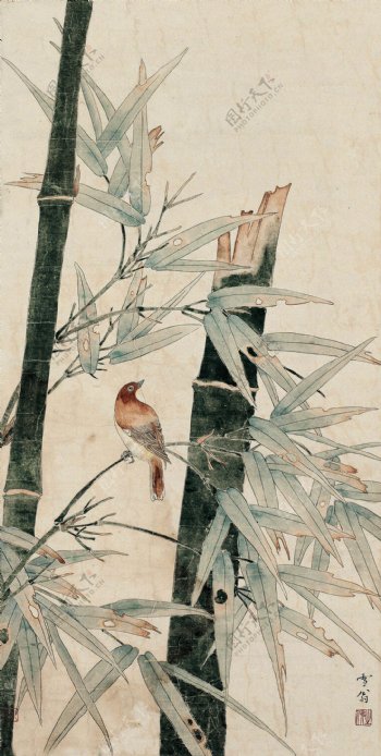 竹林小鸟图片