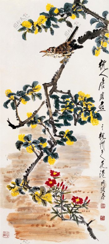 桂树鸣禽图片