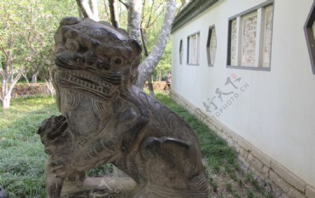 趵突泉公园石狮子图片