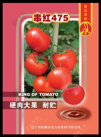 西红柿种子包装图片