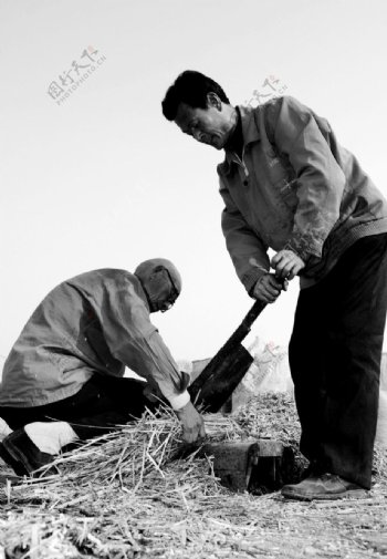 农民生活图片