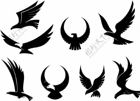 老鹰logo图标商标图片