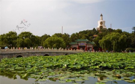 北京北海公园图片
