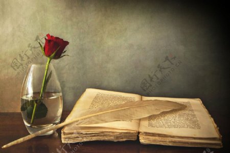 旧书与玫瑰图片