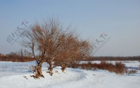 根河冬天郊外雪景图片