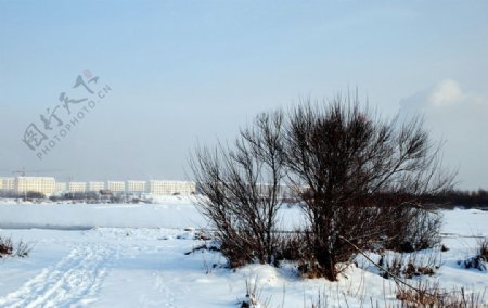 根河南河套雪景图片