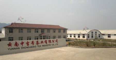 云南中吉号茶厂图片