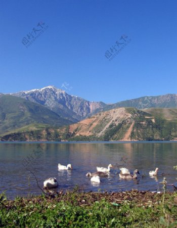 高原圣湖图片