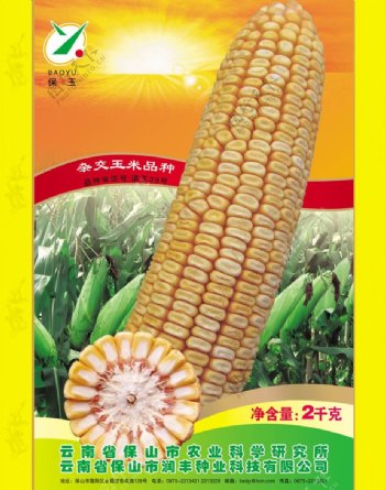 玉米杂交种包装图片