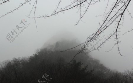 雾山图片