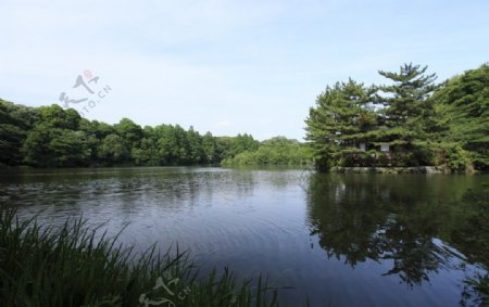 寺院湖景图片