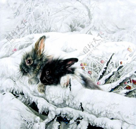 雪中双兔图片