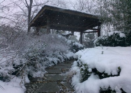 天沐温泉雪景图片