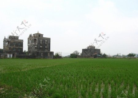 台山浮月村碉楼图片