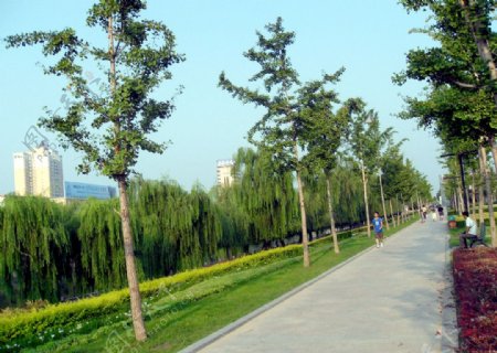 郑州东风渠风景图片