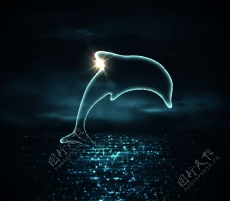 梦幻星光海豚背景图片