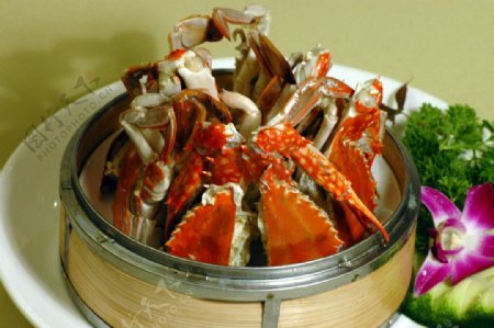 粤菜海鲜螃蟹图片
