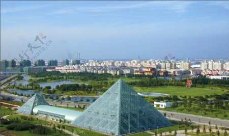 天津开发区热带植物园图片