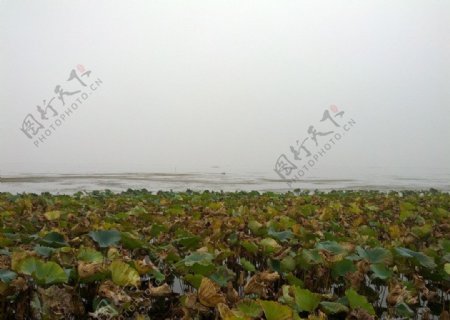 苏州太湖图片
