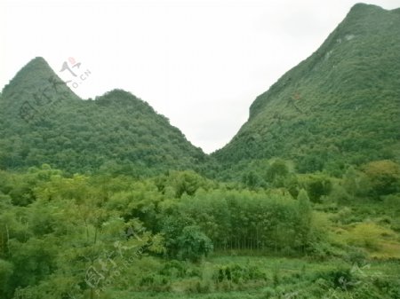 青山绿林图片