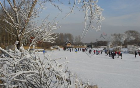 伏尔加庄园越野滑雪图片