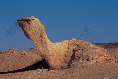 魔鬼城恐龙形风雕图片