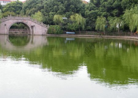上海高桥公园湖边图片
