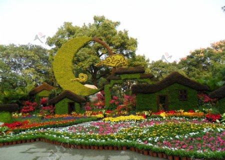 杭州西湖花圃图片