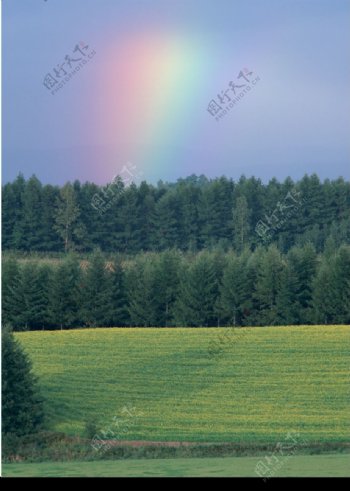 彩虹的图片
