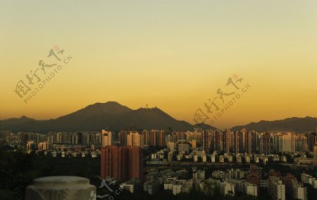 夕阳下的深圳图片