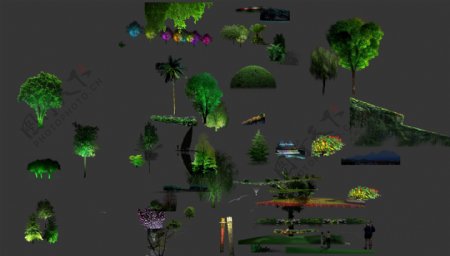 夜景树木亮化工程效果图片
