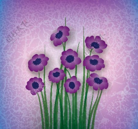 古典花卉花朵背景图片