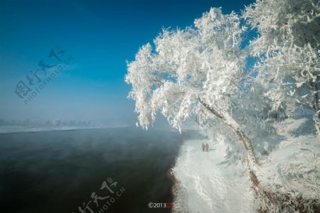 雾凇岛图片