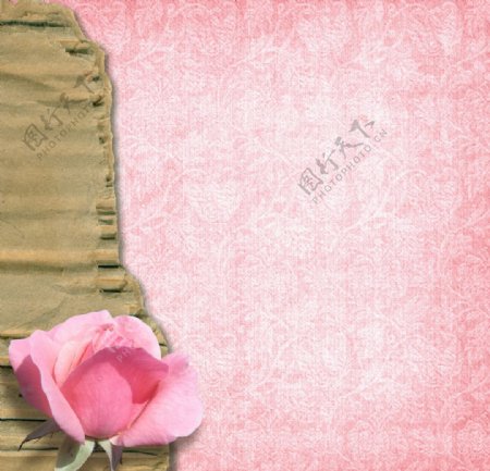 婚纱婚礼背景撕裂的纸玫瑰图片
