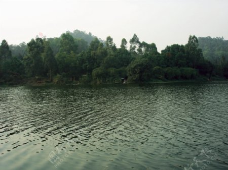 绿色的湖图片