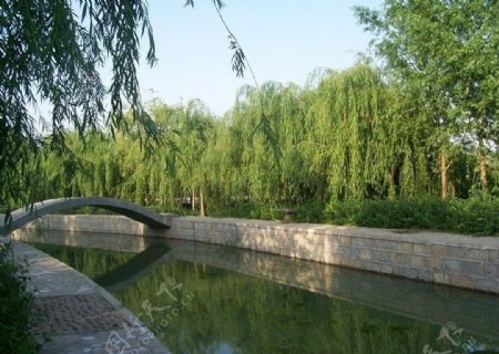 河旁小桥绿树图片