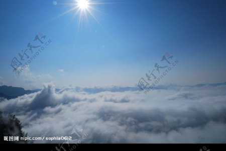阿里山雲海图片