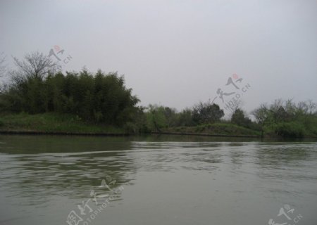 西溪湿地水景图片