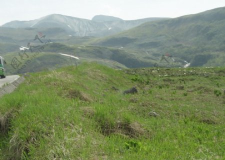 长白山高山苔原带地貌图片