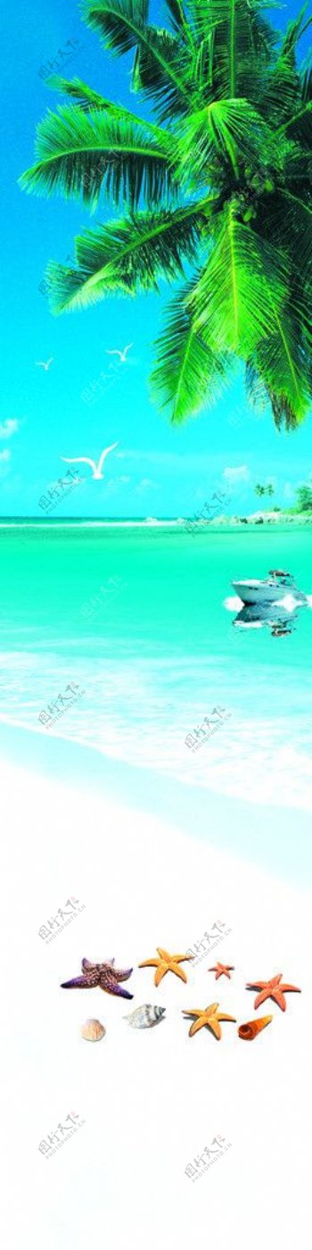 热带风情椰树沙滩图片