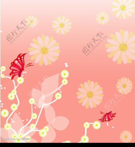 雏菊花语图片
