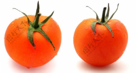 西红柿蔬菜特写图片