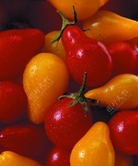 高清西红柿照片图片