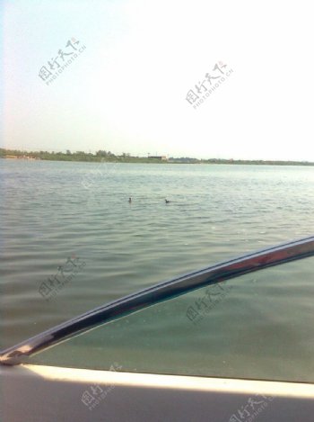衡水湖图片
