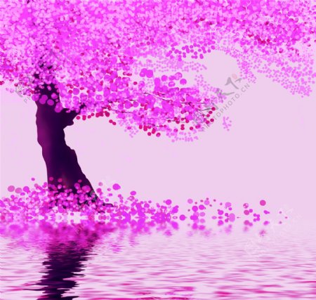 粉红树图片