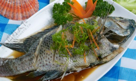 清蒸福寿鱼图片