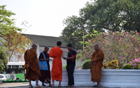老挝僧侣1图片