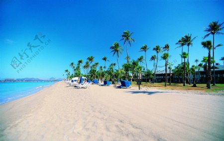 椰林沙滩图片